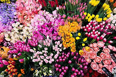 吃粑粑收益降低！ 《逃离鸭科夫》1.0.28版本更新