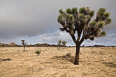 《最后的生还者》重制版与原版对比 看看差别大吗？